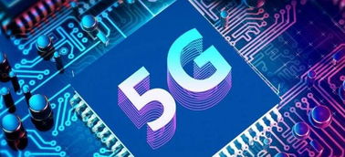 物流網絡與信息安全軟件開發 企業資訊與產品網站的新防線